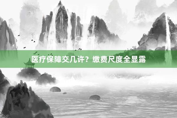 医疗保障交几许？缴费尺度全显露